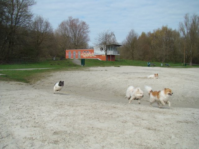 Elos am Strand